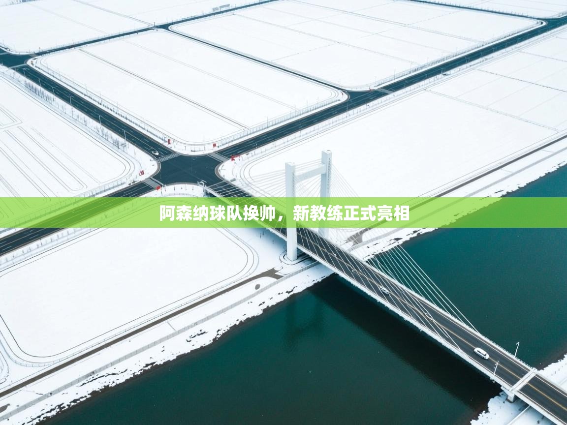 阿森纳球队换帅，新教练正式亮相  第1张