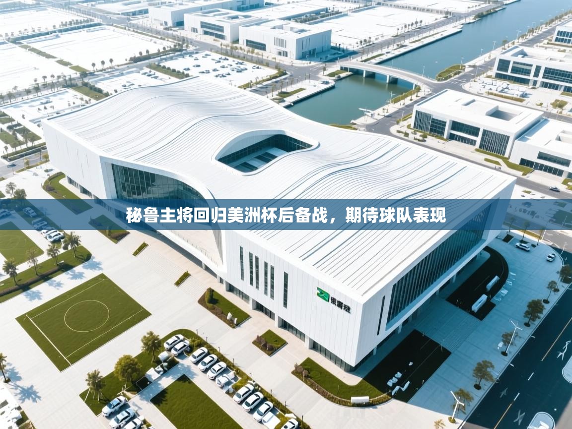 秘鲁主将回归美洲杯后备战，期待球队表现  第1张