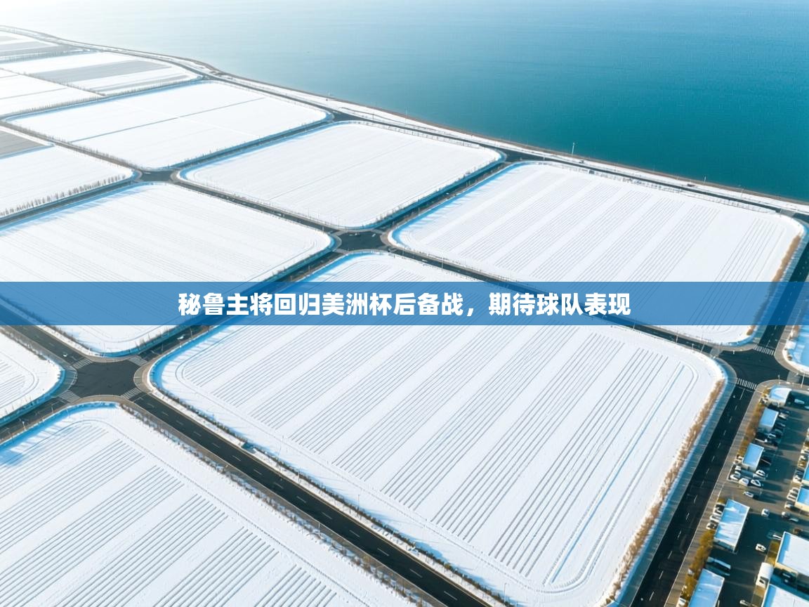 秘鲁主将回归美洲杯后备战，期待球队表现  第2张