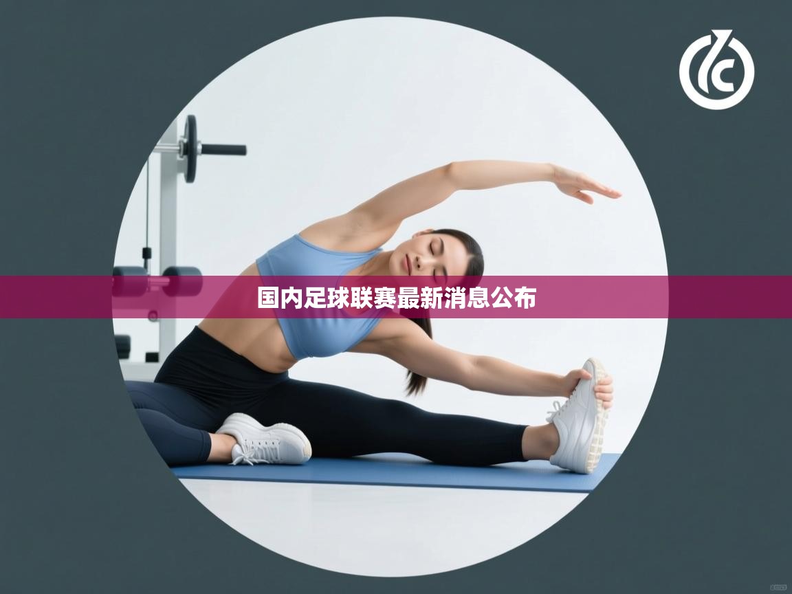 国内足球联赛最新消息公布  第1张