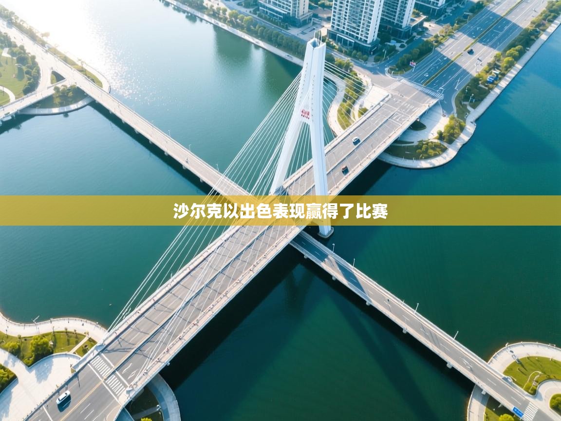 沙尔克以出色表现赢得了比赛  第2张