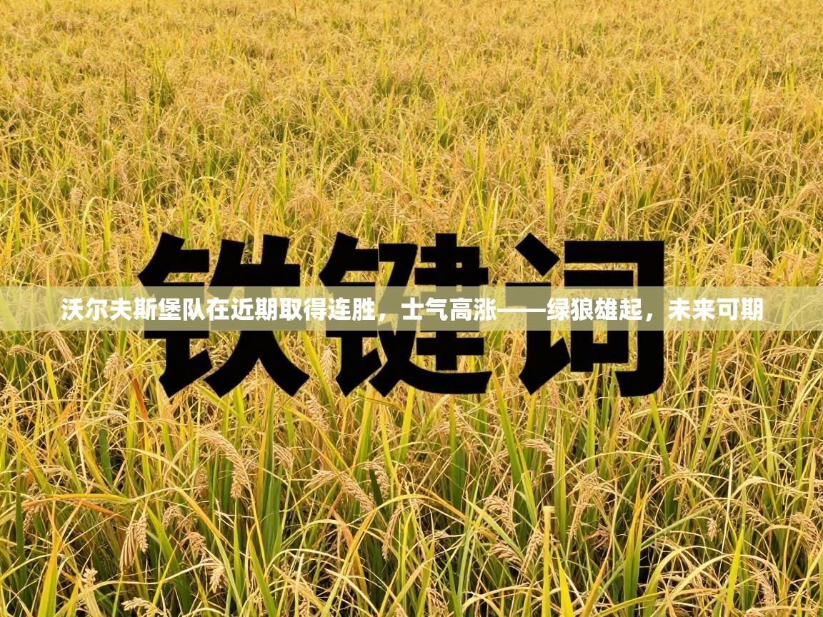 沃尔夫斯堡队在近期取得连胜,士气高涨——绿狼雄起,未来可期 第1张