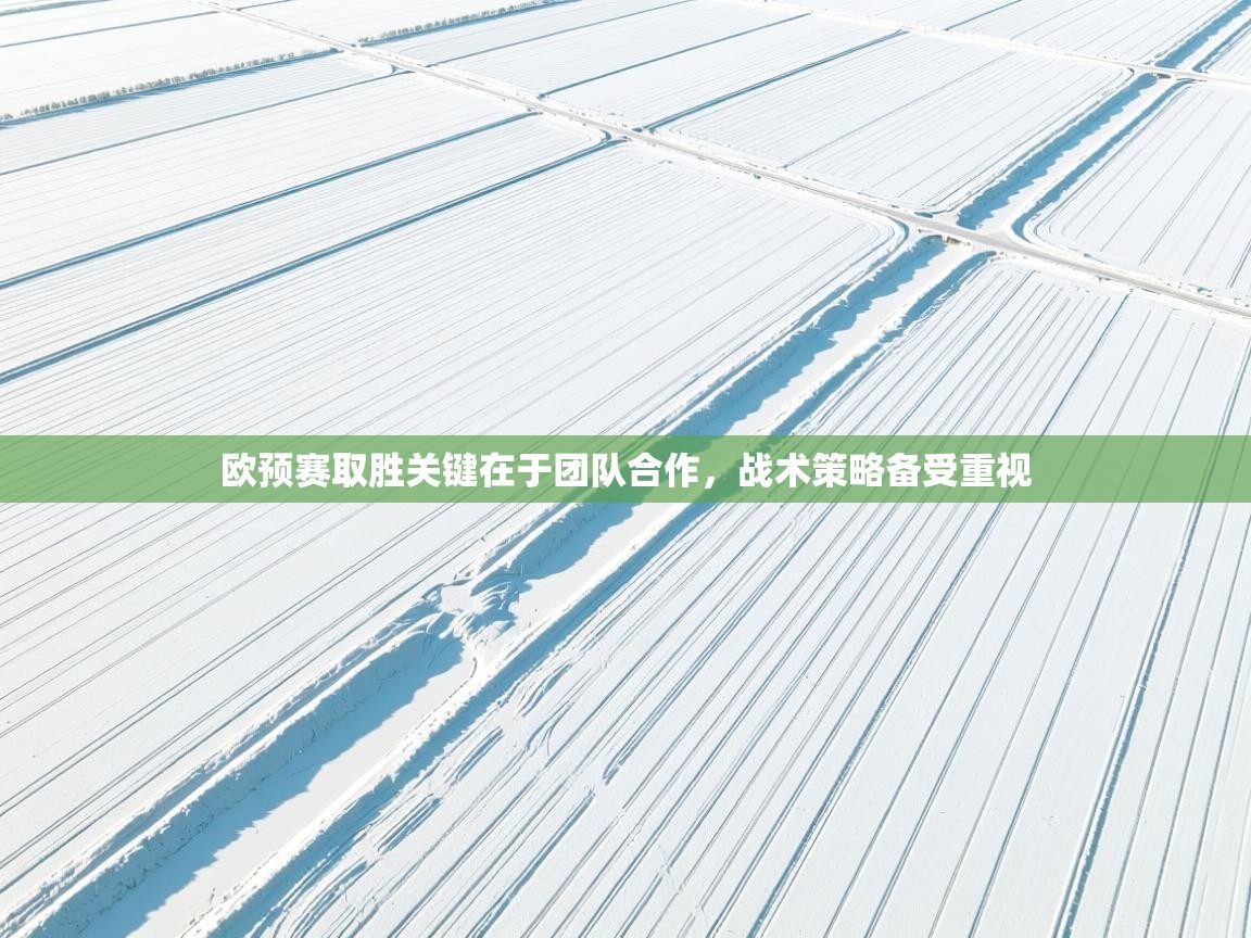 欧预赛取胜关键在于团队合作，战术策略备受重视  第2张